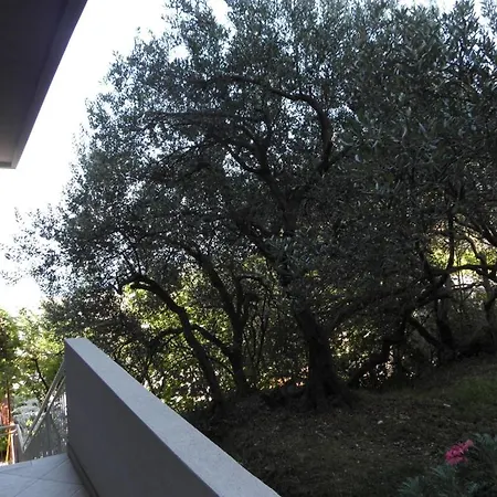 In With Sea View, Balcony, Air Conditioning, Wi-fi Podgora (Split-Dalmatia)